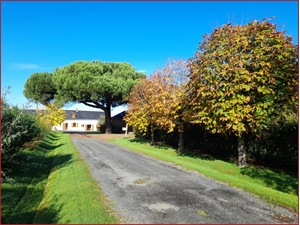 maison à la vente -   44540  MAUMUSSON, surface 261 m2 vente maison - UBI465347315